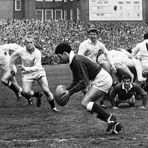 Wales outside half David Watkins clears the ball on the Welsh line during the match Wales outside half David Watkins clears the ball on the Welsh line during the match