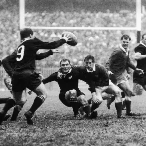 Wales v All Blacks 11th November 1967 All Blacks No9 C R Laidlow takes possession Wales v All Blacks 11th November 1967 All Blacks No9 C R Laidlow takes possession