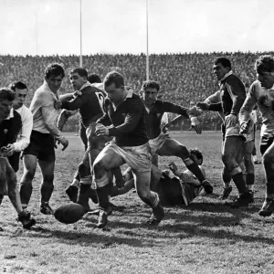 Wales v France Rugby Match Print, 26th March 1966 Wales v France Rugby Match Print, 26th March 1966