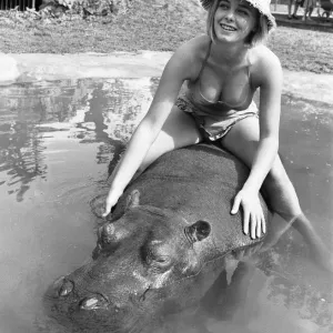 If you want to get ahead, get a hippo! Humphrey the hippo is known as a bad tempered