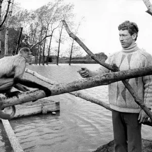 Warden John Howard with a Baboon at Lambton Pleasure Park Print 1975