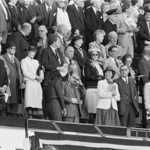 Elton John in Tears at 1984 FA Cup Final Print Elton John in Tears at 1984 FA Cup Final Print