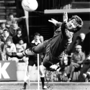 Watford v. Chelsea Chelsea goalkeeper Eddie Niedzwiecki in action