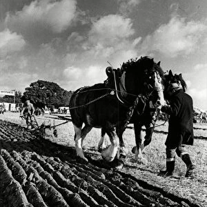 West Hallam Ploughing competition 15th October 1981