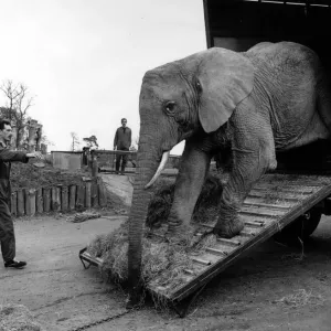 West Midland Safari and Leisure Park, located in Bewdley, Worcestershire, England West Midland Safari and Leisure Park, located in Bewdley, Worcestershire, England