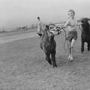 Whipsnade Zoo Shetland Pony "Tommy"with Veronica Hurst 2 / 3 / 1952