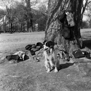 Whiskey Guards Coats at Park Hill School, Kingston, 1954 Print