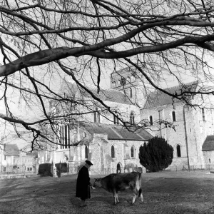 Winchester City Print, 1953