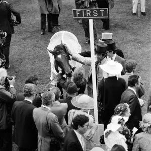 Winner of the Ascot Gold Cup, four year old Paean, ridden by Steve Cauthen Winner of the Ascot Gold Cup, four year old Paean, ridden by Steve Cauthen