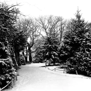 Winter Weather - Snow Scenes 20 February 1986 - Rural scene in Northumberland