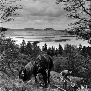Woman and Horse at Loch Lomond Print, Scotland 1942 Woman and Horse at Loch Lomond Print, Scotland 1942