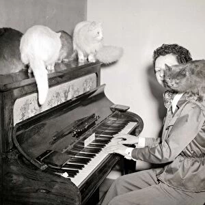 Woman playing the piano to cats of various breeds February 1954