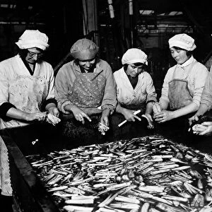 Women in Industry working in Smedleys canning Factory A©Mirrorpix