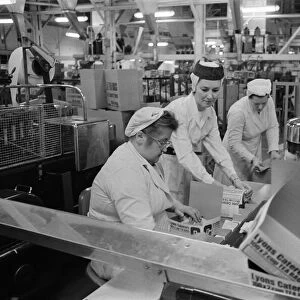Women on the night shift at the J Lyons factory in Greenford, producing tea bags