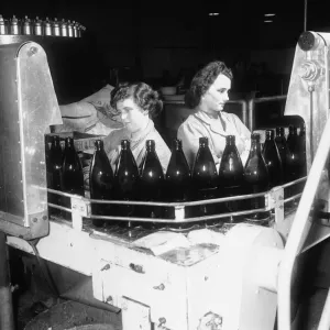 Women over-seeing the filing of bottles, on the production line at Bulmer