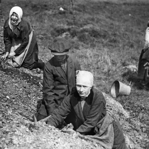 Women with scarves around their heads and a man search a spoil heap near Manchester in a Women with scarves around their heads and a man search a spoil heap near Manchester in a