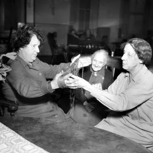 Women winding wool in preparation to knitting at a south coast nursing home. Circa 1953 Women winding wool in preparation to knitting at a south coast nursing home. Circa 1953
