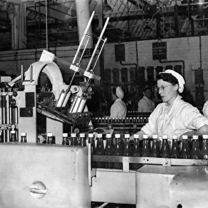 Women at work in the Heinz factory. October 1954 P005451