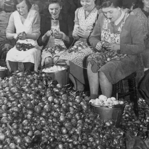 Women workers peeling thousands of onions that will eventually be pickled in jars