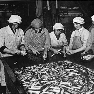 Women working at Smedleys canning factory, Evesham, Worcestershire