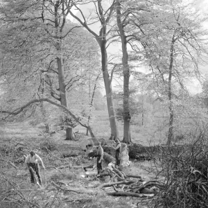 Woodsmen at Work in the 1930s Print (01067) Woodsmen at Work in the 1930s Print (01067)