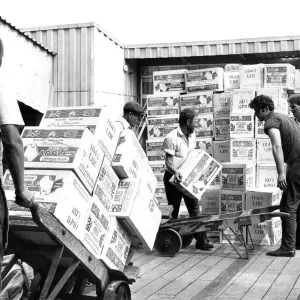 Back to work at the London Docks after the two week official nationwide dock strike by 47 Back to work at the London Docks after the two week official nationwide dock strike by 47