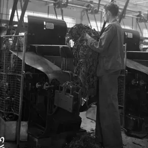 Worker feeding tobacco leaf in to a machine at the start of the cigarette manufacture in Worker feeding tobacco leaf in to a machine at the start of the cigarette manufacture in