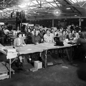 Bemrose Printing Works Workers, Liverpool, January 1946 Bemrose Printing Works Workers, Liverpool, January 1946