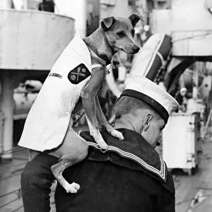 World War II mascots. The crew of H. M. S. Norman had a whip-round