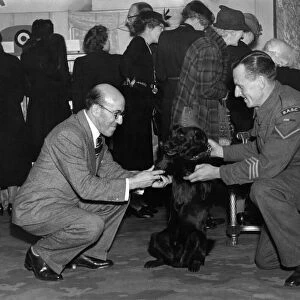 World War II. Mascots. Dogs. Mr. Robertson Hare, the comedian, who is looking after Mr