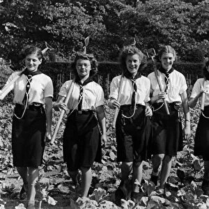 World War II Women. Sutton Sea Rangers become land workers