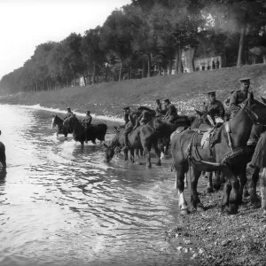 World War One. Soldiers watering artilery carriage horses Circa 1916 World War One. Soldiers watering artilery carriage horses Circa 1916