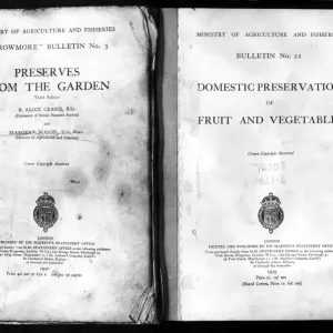 World War Two - Second World War - In 1939 the government distributed leaflets on how World War Two - Second World War - In 1939 the government distributed leaflets on how