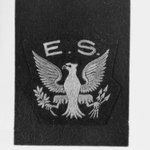 WWII Royal Air Force Eagle Squadron Print