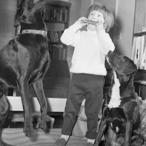 When three year old Ashley Charlton of Bourne End, Buckinghamshire, plays his mouth organ When three year old Ashley Charlton of Bourne End, Buckinghamshire, plays his mouth organ
