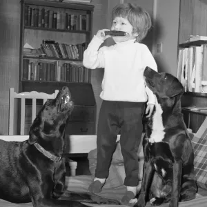 When three year old Ashley Charlton of Bourne End, Buckinghamshire, plays his mouth organ When three year old Ashley Charlton of Bourne End, Buckinghamshire, plays his mouth organ