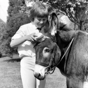Nine year old girl with donkey at the Donkey racing championships May 1975 Nine year old girl with donkey at the Donkey racing championships May 1975