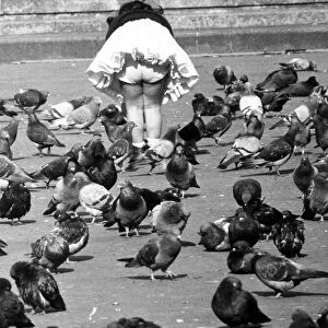 Four year old girl feeding the pigeons in Trafalgar Square August 1961