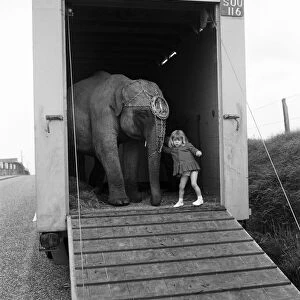 Three year old Juanita Jahn, daughter of Harry Jahn, elephant trainer with Billy Smarts