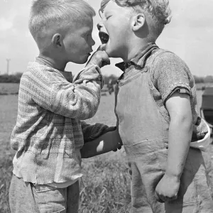 Four year old Keith Mackevitt (right) has his mouth checked by his friend Michael King