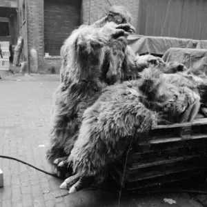 The Yeti Mark two - seven foot tall monsters with light eyes, electrical nervous system