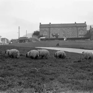 Yorkshire Dales, Sunday 24th October 1982. In background, The Burgoyne Hotel Yorkshire Dales, Sunday 24th October 1982. In background, The Burgoyne Hotel