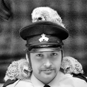 Three young baby owls perched on the shoulders of RSPCA officer David Barnes Three young baby owls perched on the shoulders of RSPCA officer David Barnes