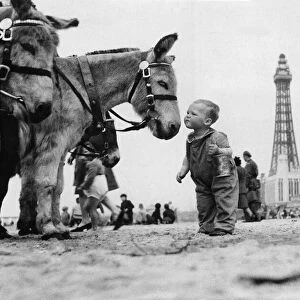 Young boy on Blackpool beach as family take a holiday near the end of the Second World