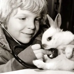 A young boy examines his rabbit, using a stethoscope to listen for a heartbeat A young boy examines his rabbit, using a stethoscope to listen for a heartbeat