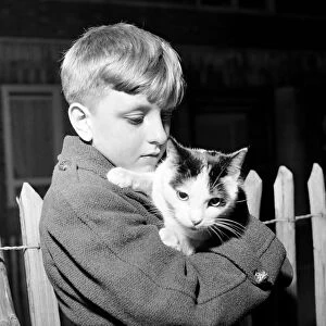 Young boy with his pet cat. November 1953 D6875
