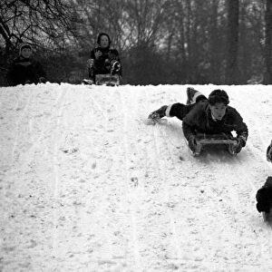 Young children make the most of the cold weather by going sledging at The Grove