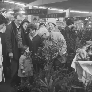 A young Christmas shopper admires a bunch of holly in Coventry retail market today