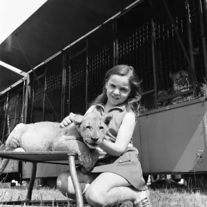 Young girl is a lion tamer, Teesside, Circa 1972 Young girl is a lion tamer, Teesside, Circa 1972