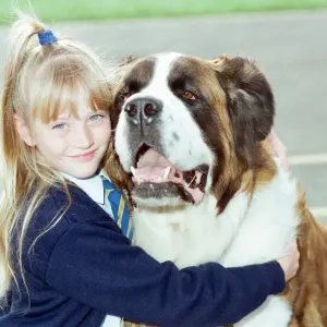A Young Girl with St. Bernard at School Print 1990